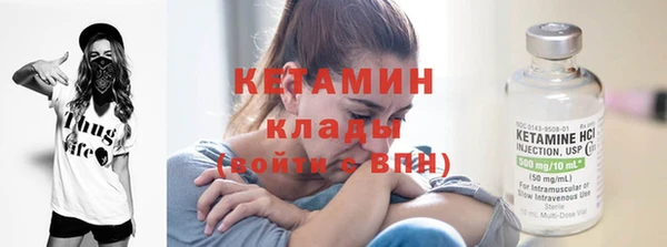 стаф Верея