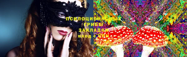 шишки Верхнеуральск