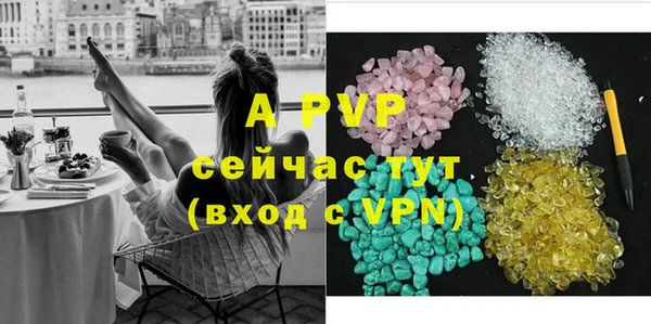 стаф Верея