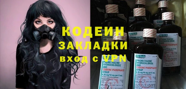 стаф Верея