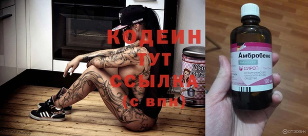 стаф Верея