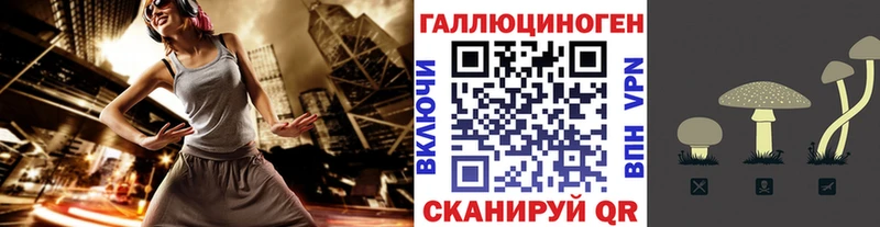 Галлюциногенные грибы MAGIC MUSHROOMS  где купить   Димитровград 