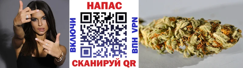 Шишки марихуана индика  Димитровград 